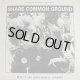 VARIOUS ARTISTS - Share Common Ground