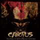 CANOPUS - The Pledge Of Blood Exchanged with Pain [CD]