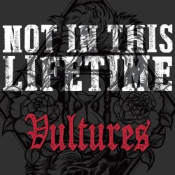 画像1: NOT IN THIS LIFETIME  - Vultures [CD]