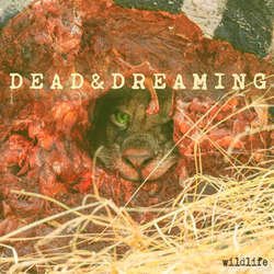 画像1: DEAD & DREAMING - Wildlife [EP]