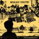 MISLED YOUTH - Excuse For Existence [EP] 