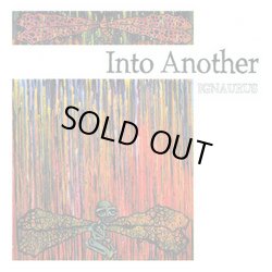 画像1: INTO ANOTHER - Ignaurus [CD]