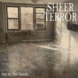 画像1: SHEER TERROR - Pall In The Family [LP]