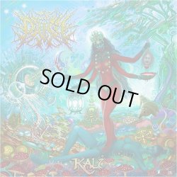 画像1: IN PRISM - Kali [CD]