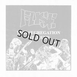 画像1: FUSE - This Segregation Will End [LP]