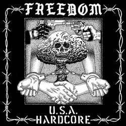 画像1: FREEDOM - U.S.A. Hardcore [LP]