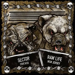 画像1: SECTOR / RAW LIFE - Split [CD]