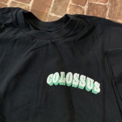 画像1: [Lサイズのみ] COLOSSUS - Logo Tシャツ (黒) [Tシャツ]