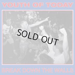 画像1: YOUTH OF TODAY - Break Down The Walls (Yellow) [LP]