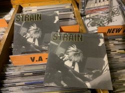 画像2: STRAIN - Strain [CD]