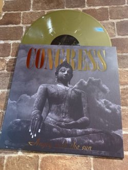 画像2: CONGRESS - Angry With The Sun (Gold) [LP]
