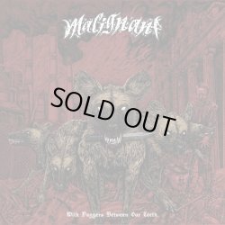 画像1: MALIGNANT - With Daggers Between Our Teeth [CD]
