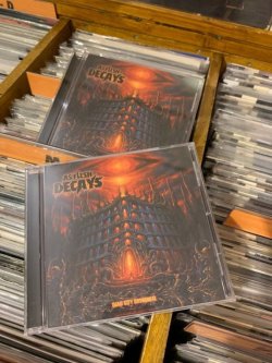 画像2: AS FLESH DECAYS - Dead City Cathedral [CD]