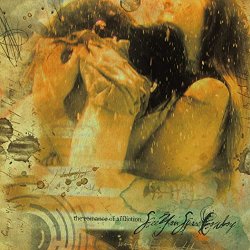 画像1: SEEYOUSPACECOWBOY - The Romance Of Affliction [CD]