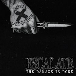 画像1: ESCALATE - The Damage Is Done [EP]
