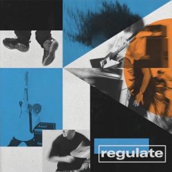 画像1: REGULATE - S/T (Grey) [LP]