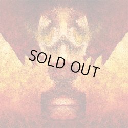 画像1: NO WARNING - Suffer, Survive [LP]