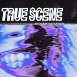 画像1: MINDED FURY / GAME CHANGER - True Scene Split [CD]