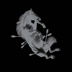 画像1: TOUCHE AMORE - Dead Horse X (Clear w/ Black Smoke) [LP]