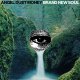ANGEL DU$T - Brand New Soul (Forest Swirl) [LP]