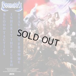 画像1: DOOMSDAY - S/T (Gold) [EP]