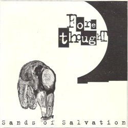 画像1: FORETHOUGHT - Sands Of Salvation [EP] (USED)