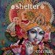 SHELTER - Eternal (Baby Blue) [LP]