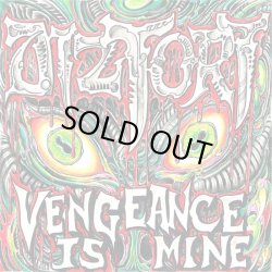 画像1: DIZTORT - Vengeance Is Mine [LP]