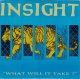 INSIGHT - What Will It Take? [EP] (USED)
