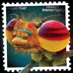 画像1: ANGEL HAIR - Insect Immortality (Half-Baked Halo) [LP]