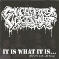 EVERYBODY GETS HURT - It Is What It Is... (Born To Lose, Live To Win) [CD]
