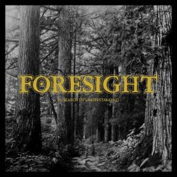 画像1: FORESIGHT - In Search Of Understanding [CD]
