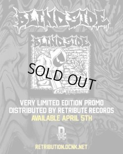 画像2: BLINDSIDE - Promo [CD]
