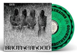 画像2: DYS - Brotherhood [LP]