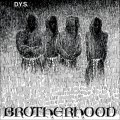 DYS - Brotherhood [LP]