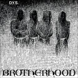 画像1: DYS - Brotherhood [LP]