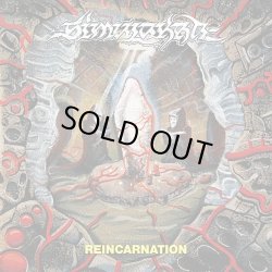 画像1: SIMULAKRA - Reincarnation (Mint Green) [LP]