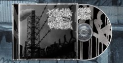 画像3: JUDGED BY TWELVE - Pivot City Violence [CD]