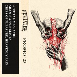 画像1: FETICIDE - Demo Discograohy [CD]