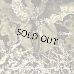 画像7: STAINED - Darkside 086 Tシャツ [Tシャツ / CD+Tシャツ]