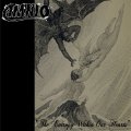 AMNIO - The Entropy Within Our Hearts [CD]