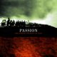 PASSION - The Fierce Urgency Of Now [CD] (USED)