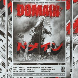 画像2: [66枚先着限定] DOMAIN (US) - Live In Japan [12/27まで66枚早割チケット]