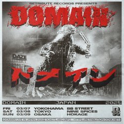 画像1: [66枚先着限定] DOMAIN (US) - Live In Japan [12/27まで66枚早割チケット]