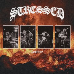 画像1: STRESSED - Carnivore (Brown Marble) [2xEP]