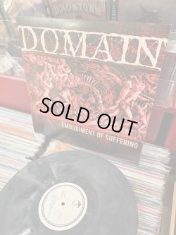 画像2: DOMAIN - Embodiment of Suffering (Grey With Black Swirl) [LP]