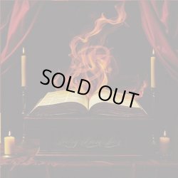 画像8: GRIDIRON - Army Of None Tシャツ (黒) [Tシャツ / CD+Tシャツ]