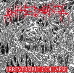 画像1: ANHEDONIA - Irreversible Collapse [CD]