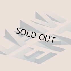 画像1: TOUCHE AMORE - Lament [LP]