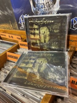 画像2: AND I DREAMT OF YOU - Lethargy Promo [CD]